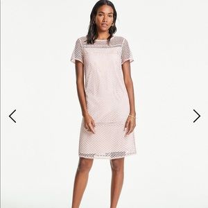 NWT: Ann Taylor Pink LACE T-SHIRT SHIFT DRESS
